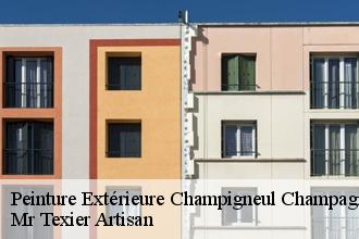 Peinture Extérieure  champigneul-champagne-51150 Mr Texier Artisan