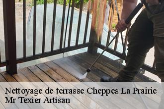 Nettoyage de terrasse  cheppes-la-prairie-51240 Mr Texier Artisan