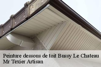 Peinture dessous de toit  bussy-le-chateau-51600 Mr Texier Artisan