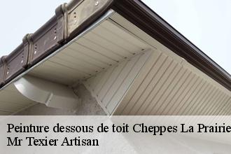 Peinture dessous de toit  cheppes-la-prairie-51240 Mr Texier Artisan