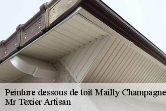 Peinture dessous de toit  mailly-champagne-51500 Mr Texier Artisan