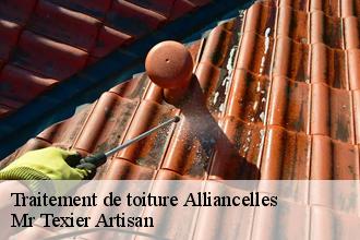 Traitement de toiture  alliancelles-51250 Mr Texier Artisan
