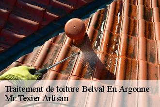 Traitement de toiture  belval-en-argonne-51330 Mr Texier Artisan