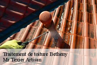 Traitement de toiture  betheny-51450 Mr Texier Artisan