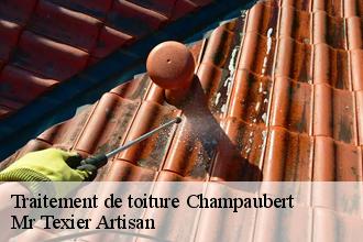 Traitement de toiture  champaubert-51270 Mr Texier Artisan