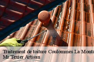 Traitement de toiture  coulommes-la-montagne-51390 Mr Texier Artisan