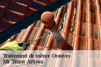 Traitement de toiture  grauves-51190 Mr Texier Artisan