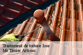 Traitement de toiture  isse-51150 Mr Texier Artisan