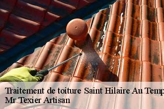 Traitement de toiture  saint-hilaire-au-temple-51400 Mr Texier Artisan