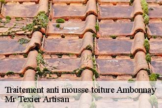 Traitement anti mousse toiture  ambonnay-51150 Mr Texier Artisan