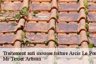 Traitement anti mousse toiture  arcis-le-ponsart-51170 Mr Texier Artisan