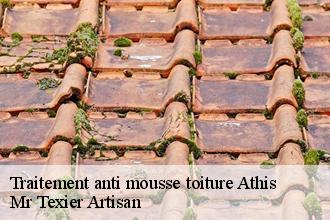 Traitement anti mousse toiture  athis-51150 Mr Texier Artisan