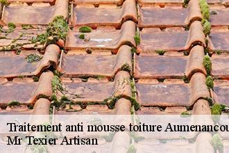 Traitement anti mousse toiture  aumenancourt-51110 Mr Texier Artisan