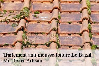 Traitement anti mousse toiture  le-baizil-51270 Mr Texier Artisan