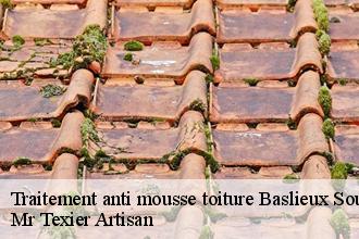 Traitement anti mousse toiture  baslieux-sous-chatillon-51700 Mr Texier Artisan