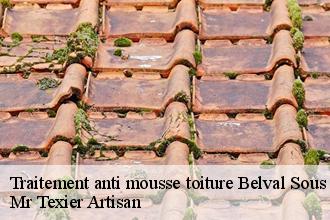 Traitement anti mousse toiture  belval-sous-chatillon-51480 Mr Texier Artisan