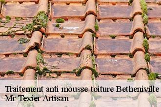 Traitement anti mousse toiture  betheniville-51490 Mr Texier Artisan