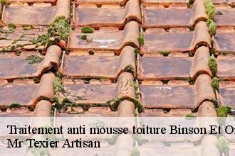 Traitement anti mousse toiture  binson-et-orquigny-51700 Mr Texier Artisan