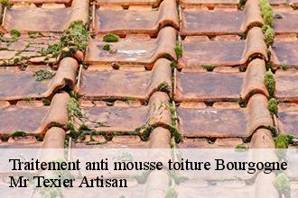 Traitement anti mousse toiture  bourgogne-51110 Mr Texier Artisan