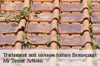 Traitement anti mousse toiture  branscourt-51140 Mr Texier Artisan