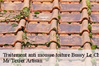 Traitement anti mousse toiture  bussy-le-chateau-51600 Mr Texier Artisan