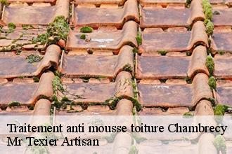 Traitement anti mousse toiture  chambrecy-51170 Mr Texier Artisan