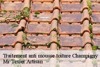 Traitement anti mousse toiture  champigny-51370 Mr Texier Artisan