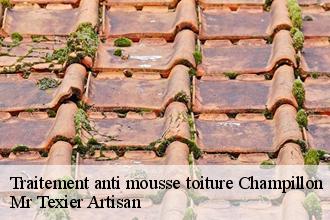 Traitement anti mousse toiture  champillon-51160 Mr Texier Artisan