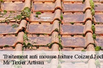 Traitement anti mousse toiture  coizard-joches-51270 Mr Texier Artisan