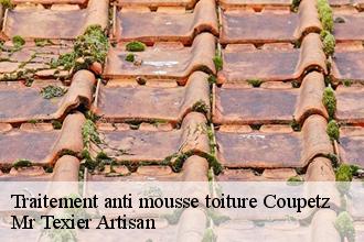 Traitement anti mousse toiture  coupetz-51240 Mr Texier Artisan