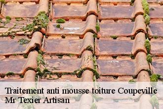 Traitement anti mousse toiture  coupeville-51240 Mr Texier Artisan