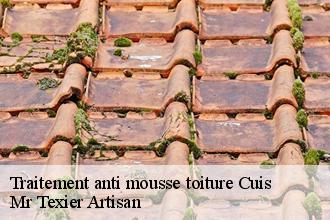 Traitement anti mousse toiture  cuis-51200 Mr Texier Artisan