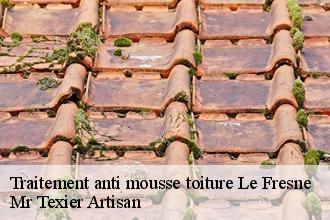 Traitement anti mousse toiture  le-fresne-51240 Mr Texier Artisan