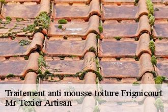 Traitement anti mousse toiture  frignicourt-51300 Mr Texier Artisan