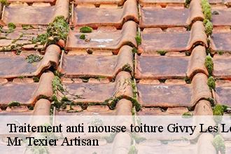 Traitement anti mousse toiture  givry-les-loisy-51130 Mr Texier Artisan