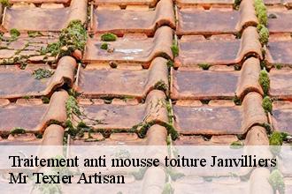 Traitement anti mousse toiture  janvilliers-51210 Mr Texier Artisan