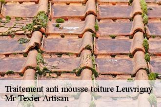 Traitement anti mousse toiture  leuvrigny-51700 Mr Texier Artisan