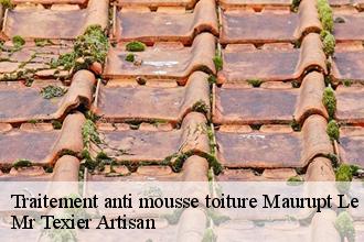 Traitement anti mousse toiture  maurupt-le-montois-51340 Mr Texier Artisan