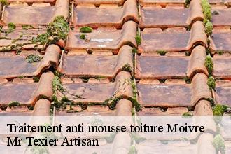 Traitement anti mousse toiture  moivre-51240 Mr Texier Artisan