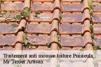 Traitement anti mousse toiture  puisieulx-51500 Mr Texier Artisan