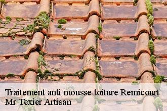 Traitement anti mousse toiture  remicourt-51330 Mr Texier Artisan