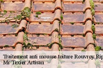 Traitement anti mousse toiture  rouvroy-ripont-51800 Mr Texier Artisan