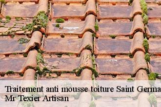 Traitement anti mousse toiture  saint-germain-la-ville-51240 Mr Texier Artisan