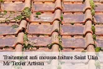 Traitement anti mousse toiture  saint-utin-51290 Mr Texier Artisan