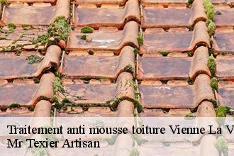 Traitement anti mousse toiture  vienne-la-ville-51800 Mr Texier Artisan