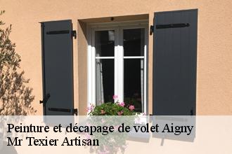 Peinture et décapage de volet  aigny-51150 Mr Texier Artisan