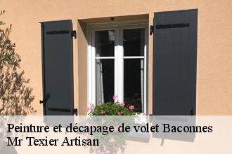 Peinture et décapage de volet  baconnes-51400 Mr Texier Artisan