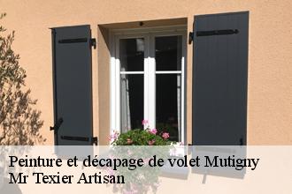 Peinture et décapage de volet  mutigny-51160 Mr Texier Artisan